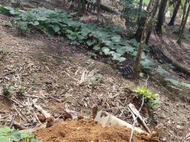 Sítio e chácara venda em Região Imediata de Registro, Miracatu