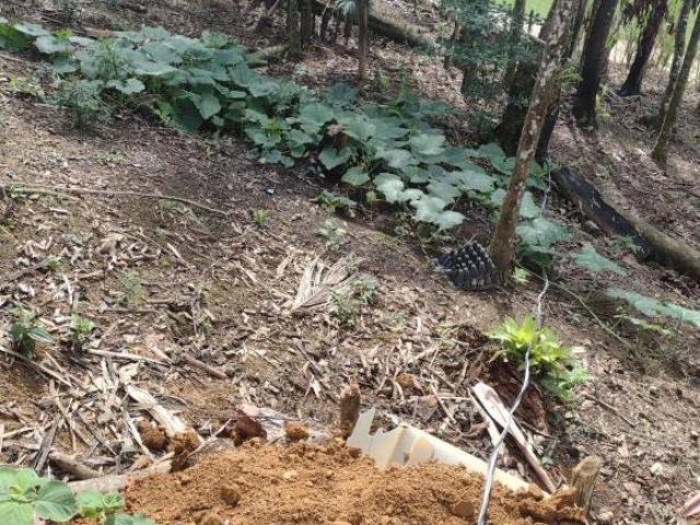 Sítio e chácara venda em Região Imediata de Registro, Região Metropolitana de São Paulo