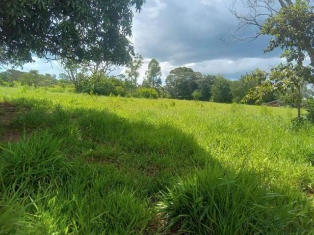 Sítio e chácara venda em Região Geográfica Imediata de Anápolis, Região Integrada de Desenvolvimento do Distrito Federal e Entorno