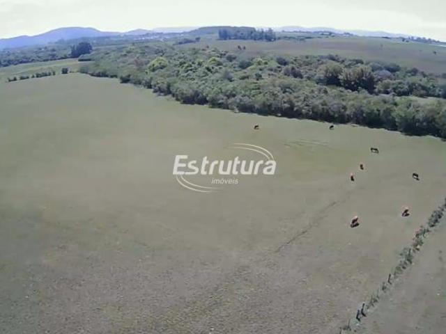 Sítio e chácara venda em Região Geográfica Imediata de Santa Maria, Santa Maria