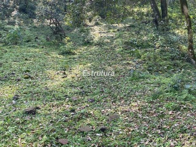 Sítio e chácara venda em Região Geográfica Imediata de Santa Maria, Itaara