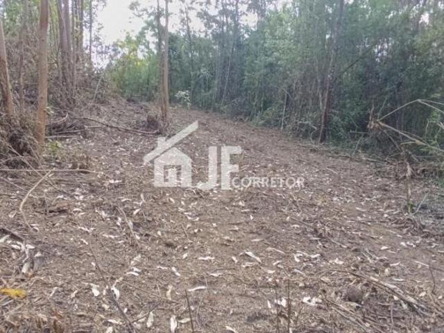 Sítio e chácara venda em Região Geográfica Imediata de Novo Hamburgo - São Leopoldo, Região Metropolitana de Porto Alegre