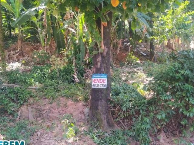 Sítio e chácara venda em Região Geográfica Imediata de Ipatinga, Região Metropolitana do Vale do Aço
