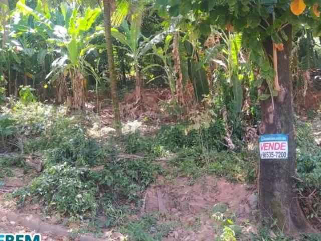 Sítio e chácara venda em Região Geográfica Imediata de Ipatinga, Região Metropolitana do Vale do Aço