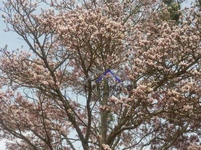 Sítio e chácara venda em Região Imediata de Sorocaba, Região Metropolitana de Sorocaba