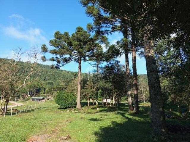 Sítio e chácara venda em Região Geográfica Imediata de Caxias do Sul, Nova Petrópolis