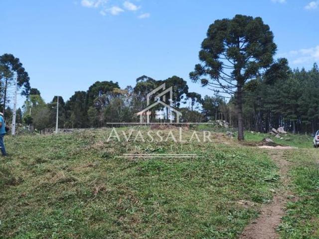 Sítio e chácara venda em Região Geográfica Imediata de Curitiba, Região Metropolitana de Curitiba