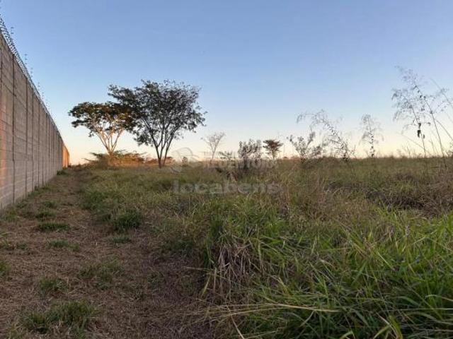 Sítio e chácara venda em Região Imediata de São José do Rio Preto, Região Metropolitana de São José do Rio Preto