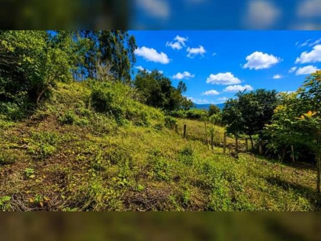 Sítio e chácara venda em Região Geográfica Imediata de Novo Hamburgo - São Leopoldo, Região Metropolitana de Porto Alegre