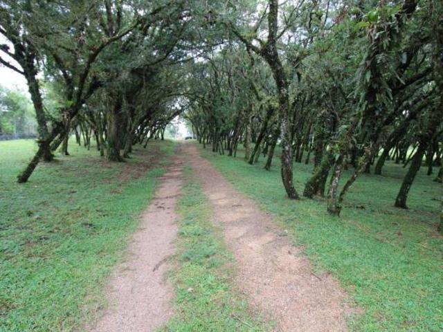 Sítio e chácara venda em Região Geográfica Imediata de Curitiba, Região Metropolitana de Curitiba