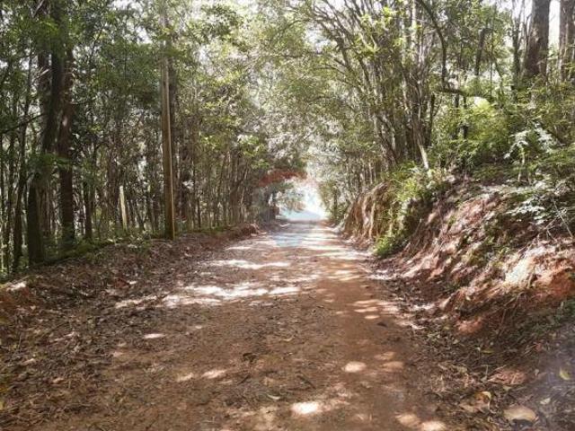Sítio e chácara venda em Região Imediata de Bragança Paulista, Pinhalzinho