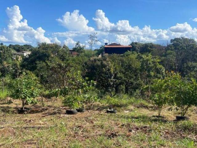 Sítio e chácara venda em Região Geográfica Imediata do Distrito Federal, Região Integrada de Desenvolvimento do Distrito Federal e Entorno