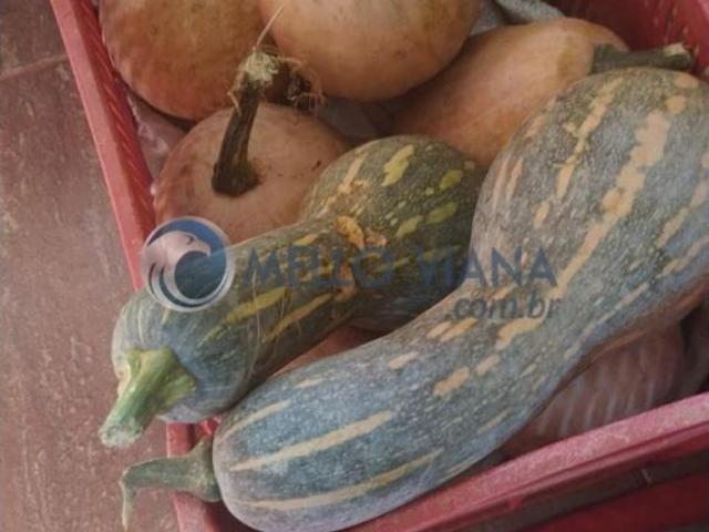Sítio e chácara venda em Região Geográfica Imediata de Três Corações, Cambuquira