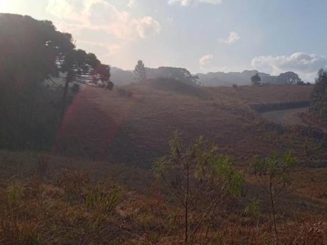 Sítio e chácara venda em Região Geográfica Imediata de Caxias do Sul, Caxias do Sul