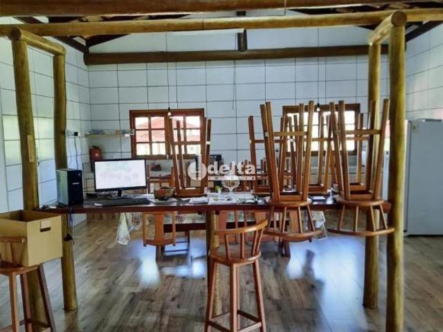 Sítio e chácara venda em Região Geográfica Imediata de Uberlândia, Oliveira Fortes