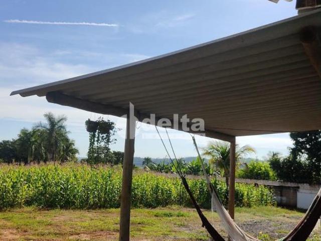 Sítio e chácara venda em Residencial Milani, Araguari