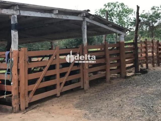 Sítio e chácara venda em Região Geográfica Imediata de Uberlândia, Cascalho Rico
