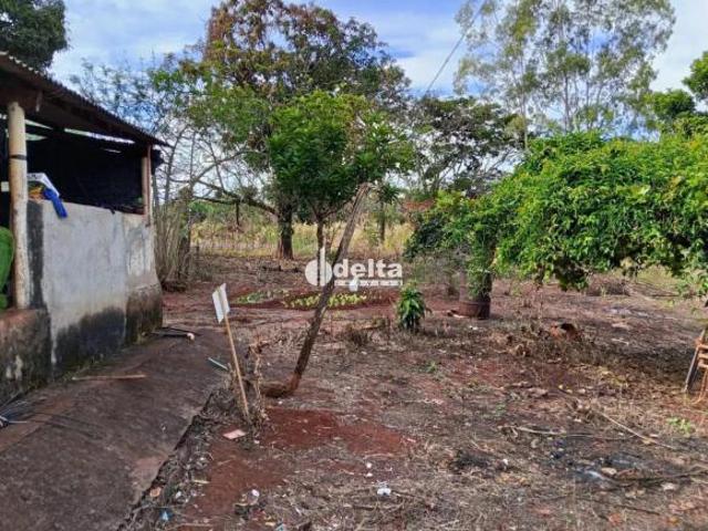 Sítio e chácara venda em Região Geográfica Imediata de Uberlândia, Indianópolis