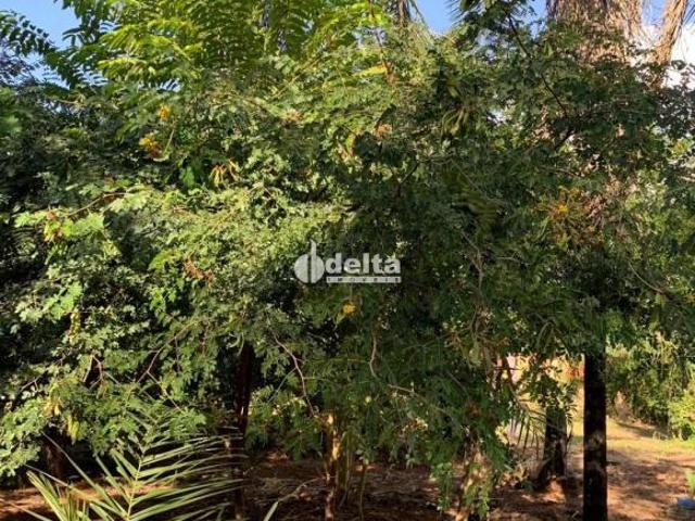 Sítio e chácara venda em Região Geográfica Imediata de Uberlândia, Oliveira Fortes