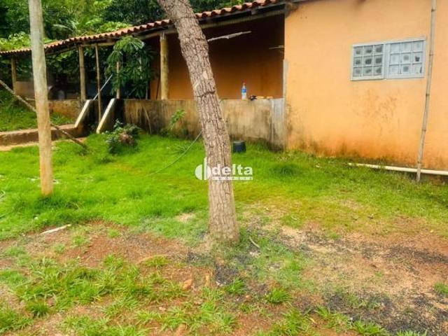Sítio e chácara venda em Região Geográfica Imediata de Uberlândia, Oliveira Fortes