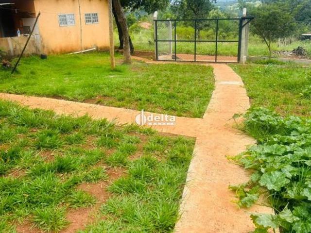 Sítio e chácara venda em Região Geográfica Imediata de Uberlândia, Oliveira Fortes