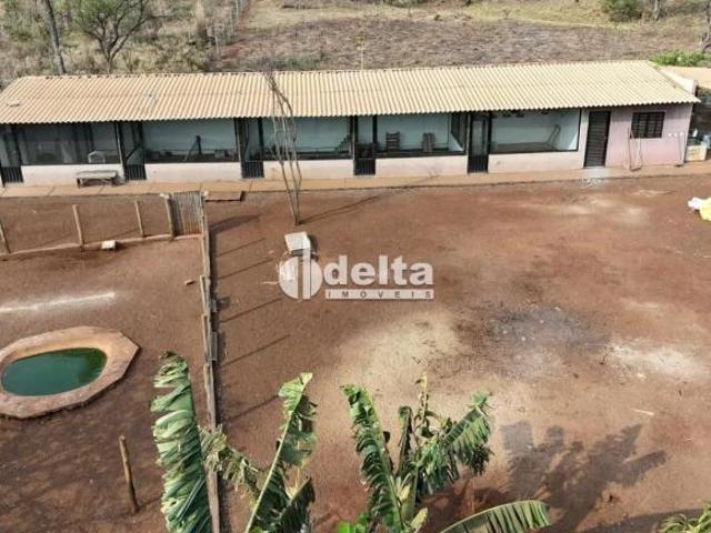 Sítio e chácara venda em Região Geográfica Imediata de Uberlândia, Oliveira Fortes