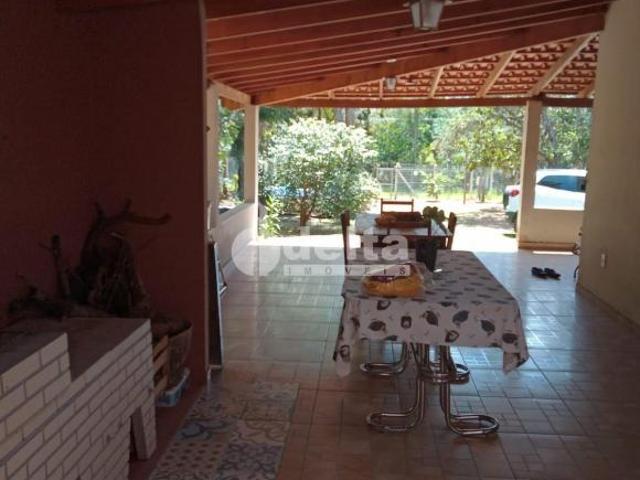 Sítio e chácara venda em Miraporanga, Uberlândia