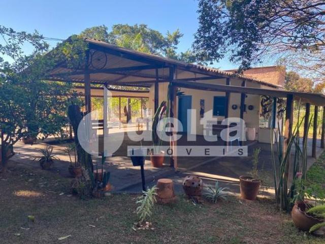 Sítio e chácara venda em Setor Norte, Uberlândia