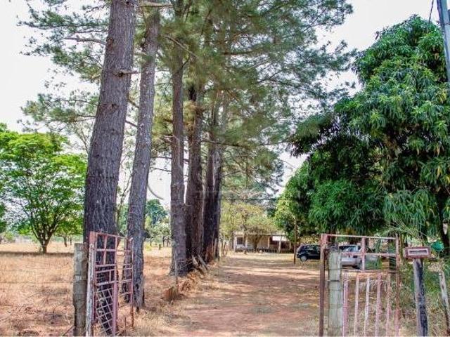 Sítio e chácara venda em Chácaras Bonanza, Uberlândia