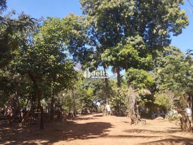 Sítio e chácara venda em Região Geográfica Imediata de Uberlândia, Oliveira Fortes
