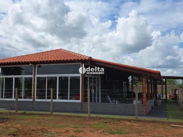 Sítio e chácara venda em Região Geográfica Imediata de Uberlândia, Oliveira Fortes