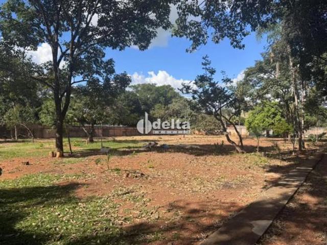 Sítio e chácara venda em Mansões Aeroporto, Uberlândia