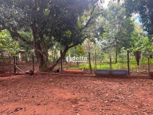 Sítio e chácara venda em Região Geográfica Imediata de Uberlândia, Oliveira Fortes