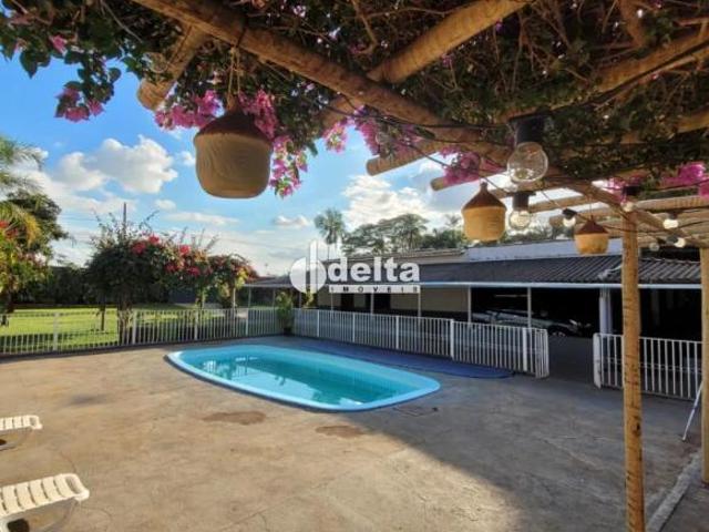 Sítio e chácara venda em Região Geográfica Imediata de Uberlândia, Oliveira Fortes