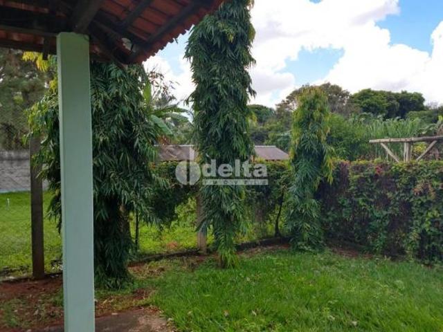 Sítio e chácara venda em Panorama, Uberlândia