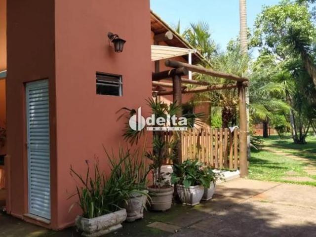 Sítio e chácara venda em Região Geográfica Imediata de Uberlândia, Oliveira Fortes