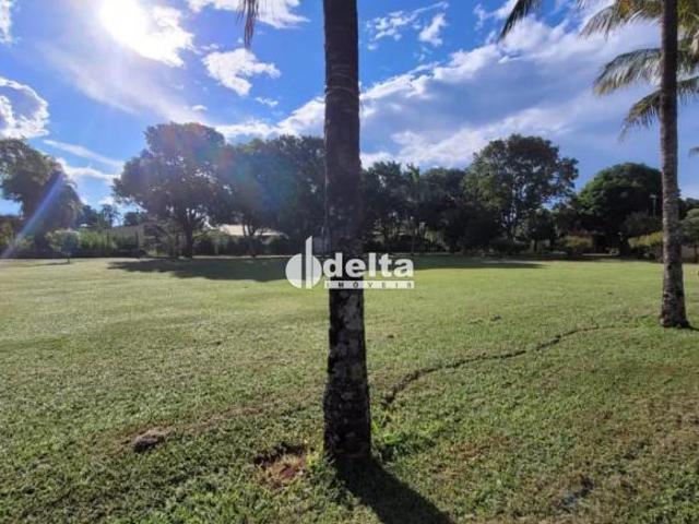 Sítio e chácara venda em Região Geográfica Imediata de Uberlândia, Oliveira Fortes