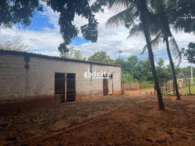 Sítio e chácara venda em Região Geográfica Imediata de Uberlândia, Oliveira Fortes