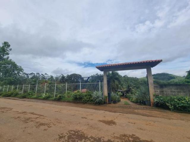 Sítio e chácara venda em Região Geográfica Imediata de Cataguases, Dona Euzébia