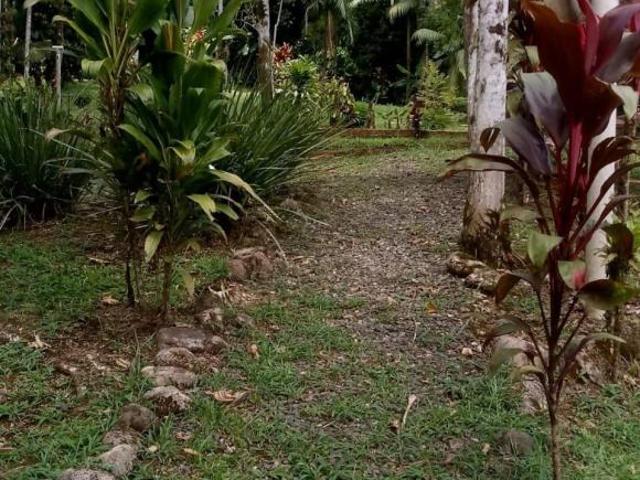 Sítio e chácara venda em Região Geográfica Imediata de Paranaguá, Morretes