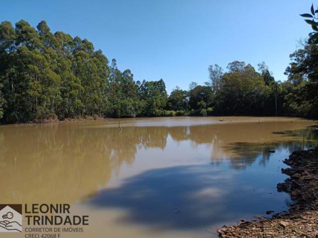 Sítio e chácara venda em Região Geográfica Imediata de Caxias do Sul, Alto Feliz