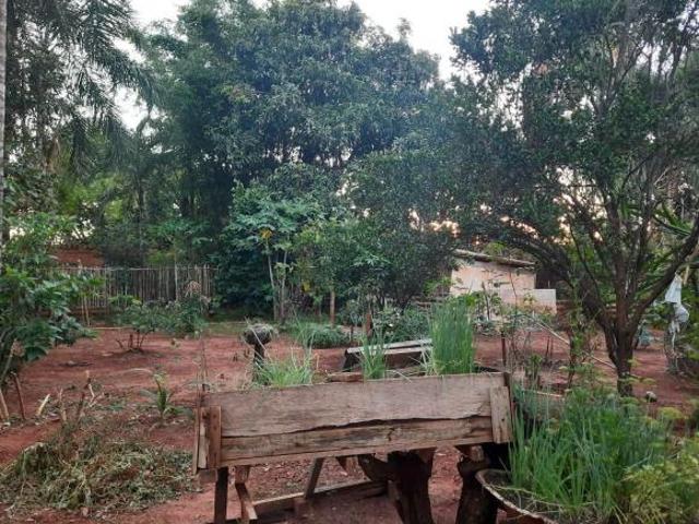 Sítio e chácara venda em Região Geográfica Imediata de Uberlândia, Oliveira Fortes