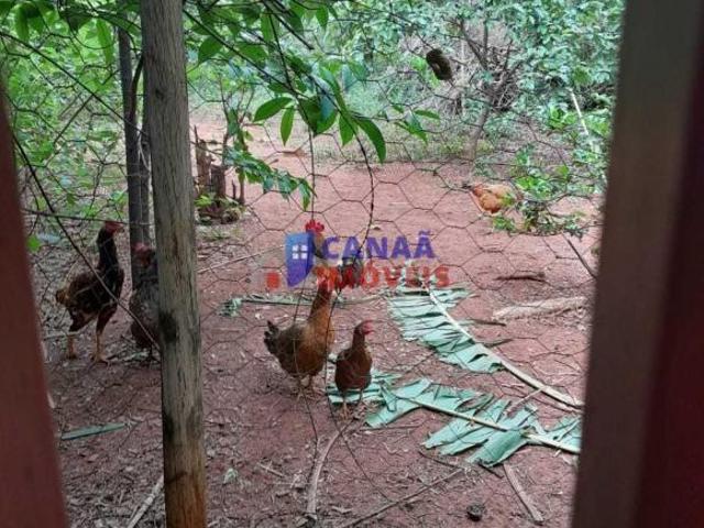 Sítio e chácara venda em Região Geográfica Imediata de Uberlândia, Oliveira Fortes