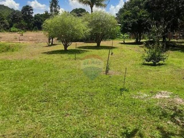 Sítio e chácara venda em Região Geográfica Imediata de Águas Lindas de Goiás, Região Integrada de Desenvolvimento do Distrito Federal e Entorno