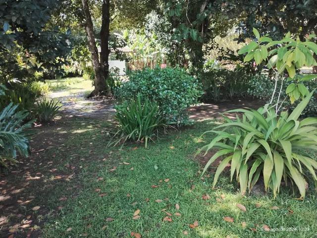 Fazenda venda em Região Geográfica Imediata do Recife, Região Metropolitana do Recife