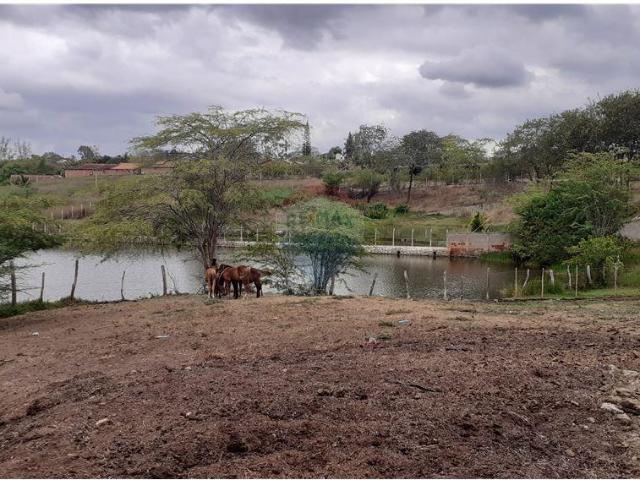 Sítio e chácara venda em Região Geográfica Imediata de Caruaru, Gravata