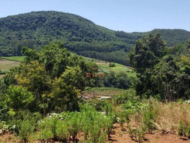 Sítio e chácara venda em Região Geográfica Imediata de Caxias do Sul, Alto Feliz