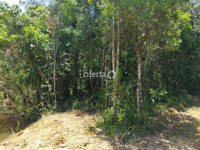 Sítio e chácara venda em Região Geográfica Imediata de Curitiba, Região Metropolitana de Curitiba