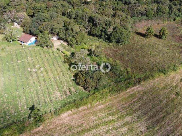 Sitio venda em Araucaria