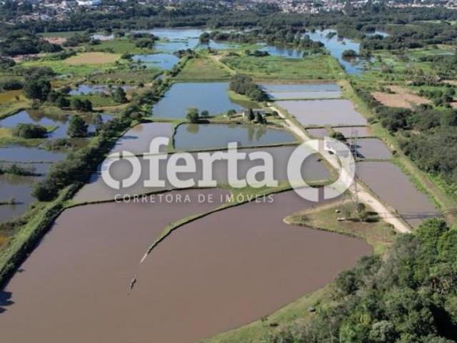 Sitio venda em Araucaria